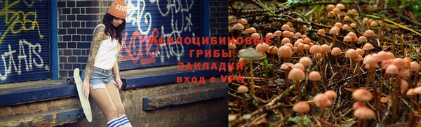 Альфа ПВП Навашино